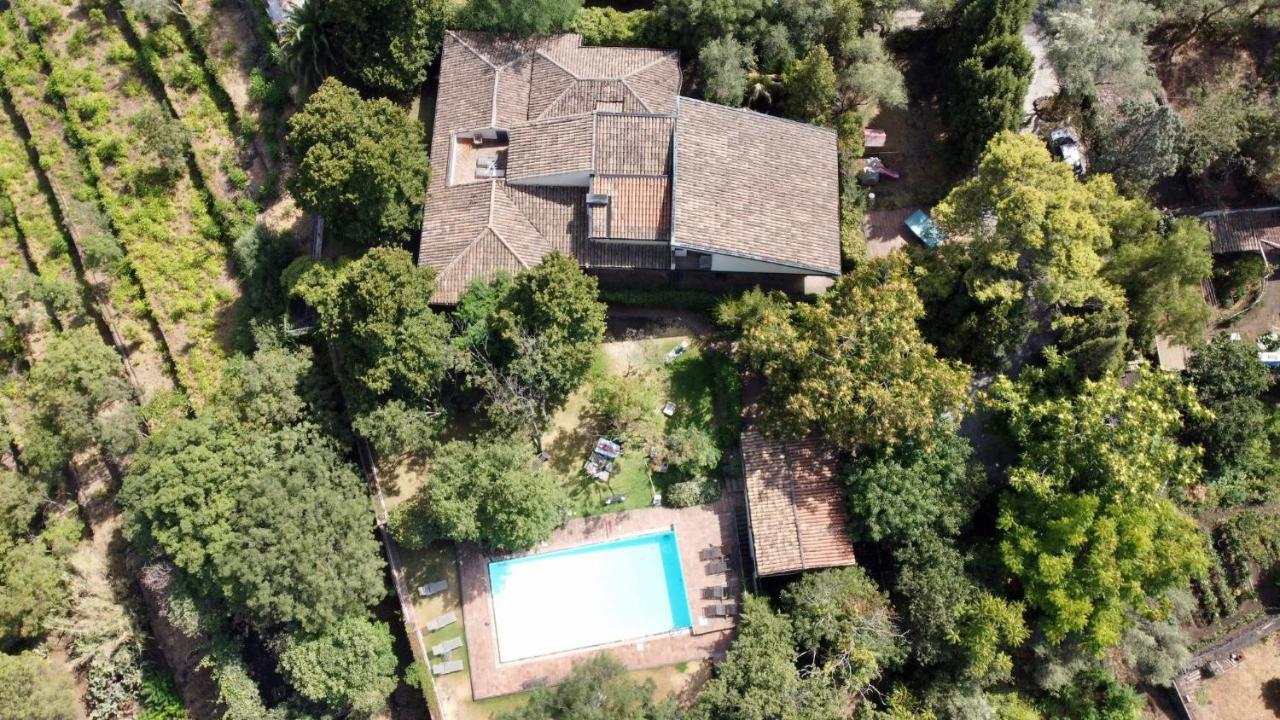 Il Palmento Villa Santa Venerina Eksteriør billede